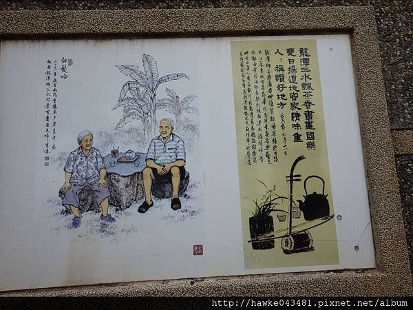 IMGP3262_調整大小