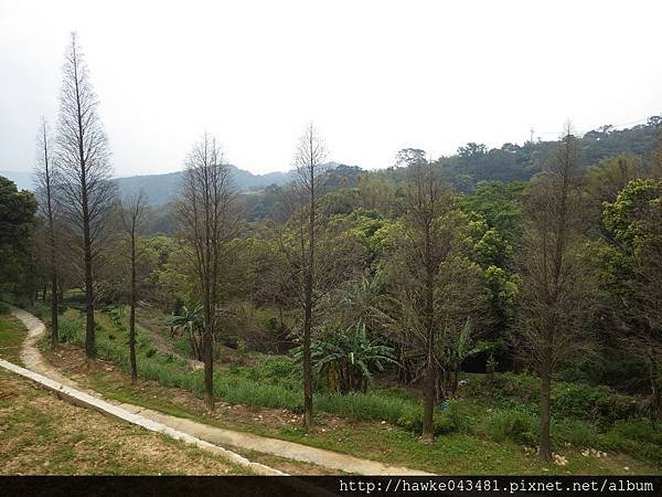 IMGP3362_調整大小