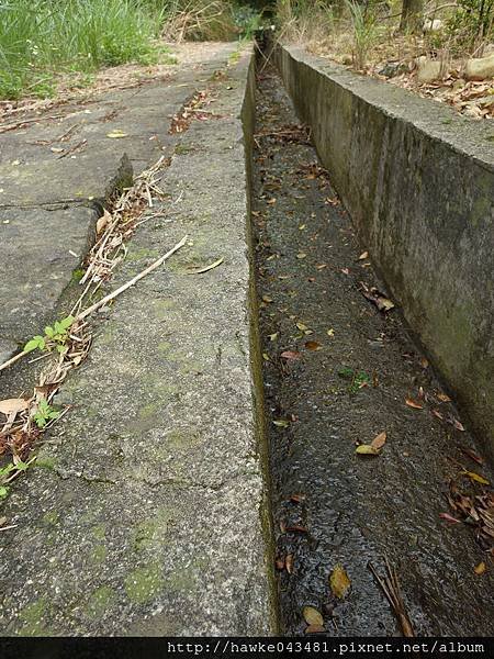 IMGP3370_調整大小
