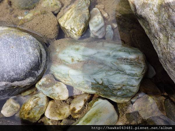 IMGP0058_調整大小.JPG