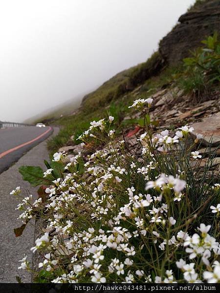 P_20160610_110602_調整大小.jpg