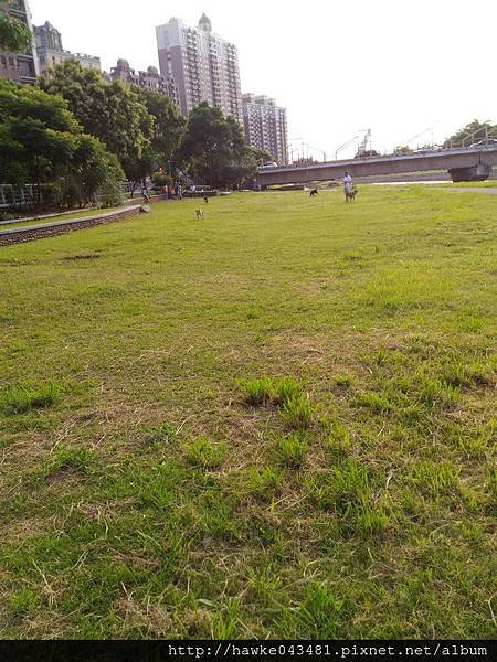 P_20160619_172848_調整大小.jpg