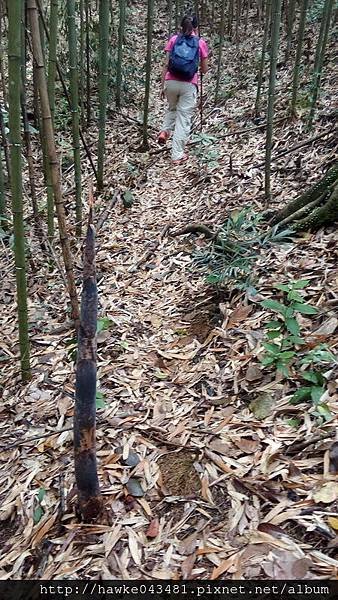 IMG_20170416_101637_調整大小.jpg