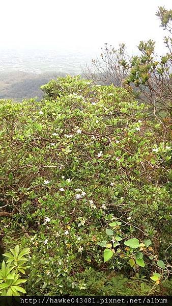 IMG_20170521_125706_調整大小.jpg