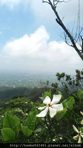 IMG_20170521_125711_調整大小.jpg