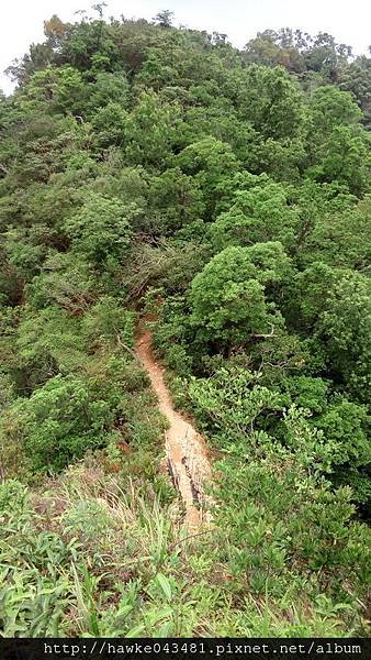IMG_20170521_130056_調整大小.jpg