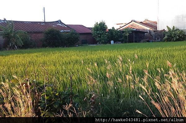 IMG_20171007_171112_調整大小.jpg