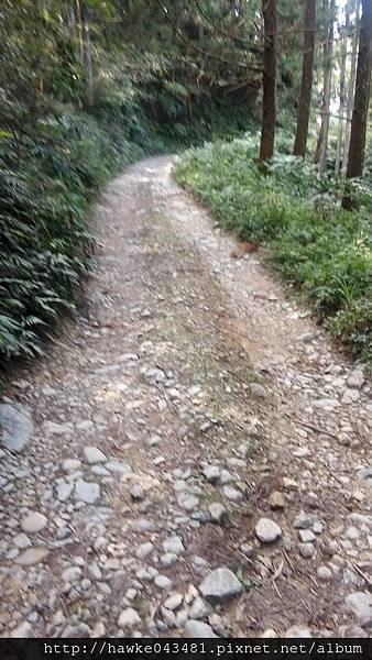 IMG_20171009_133152_調整大小.jpg