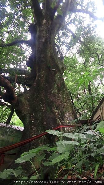 IMG_20171105_140216.jpg