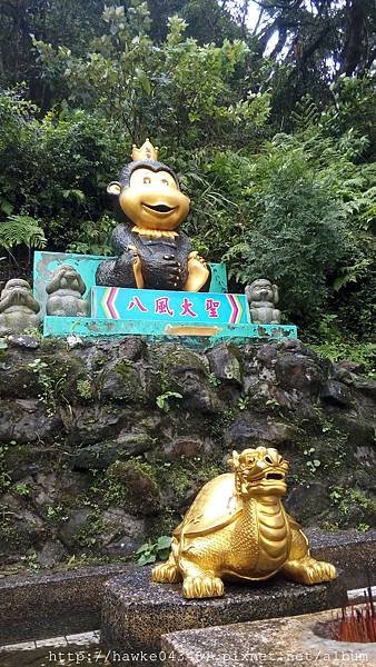 IMG_20171203_105100.jpg