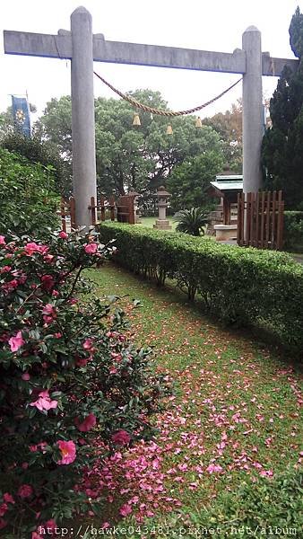 IMG_20171231_151945.jpg