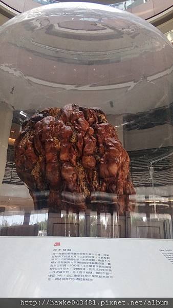 IMG_20180401_083231_調整大小.jpg