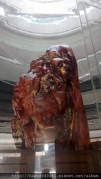 IMG_20180401_083422_調整大小.jpg