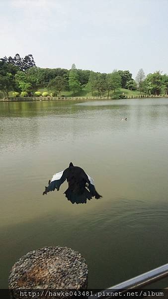 IMG_20180401_090223_調整大小.jpg