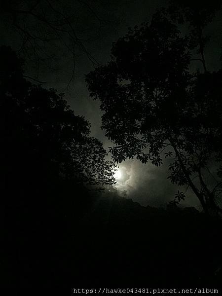 IMG_4925