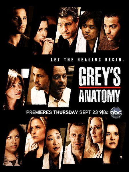 greys-anatomy6.jpg