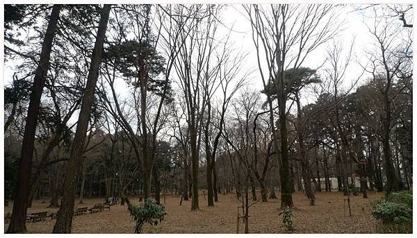 201702_Tokyo_#2_30.JPG