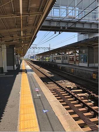 20190807-NGO-085.JPG