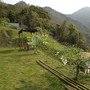 DSCN8393.JPG