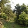 DSCN8413.JPG