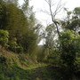 DSCN8414.JPG