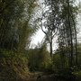DSCN8415.JPG