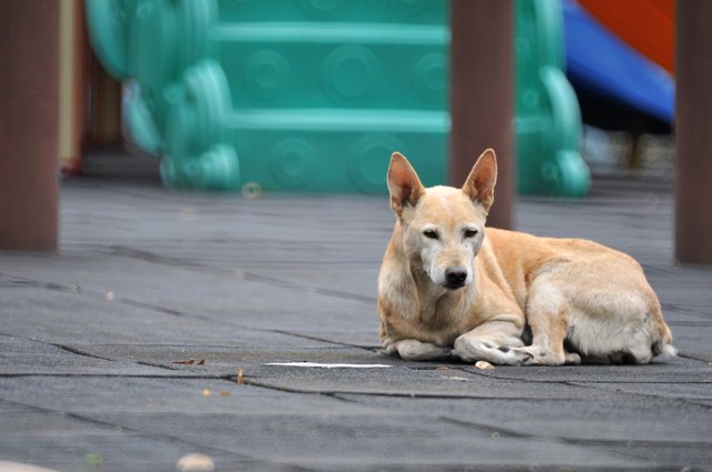 DSC_8442.jpg