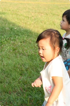 qIMG_2552-20121110