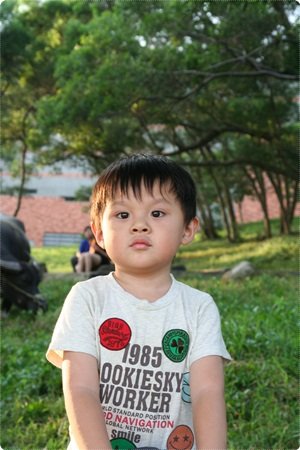 qIMG_2575-20121110