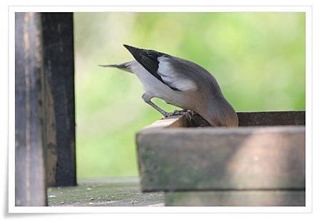 IMG_0905