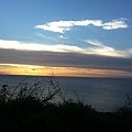 IMG_3441