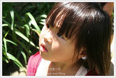IMG_7239.JPG