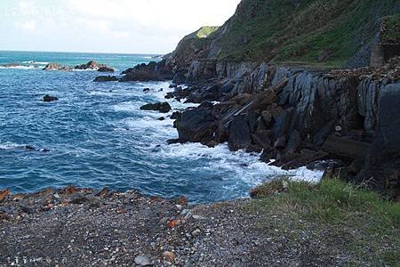 IMG_6658