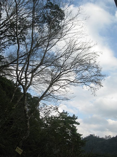 IMG_8582.JPG