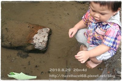 IMG_8971.JPG