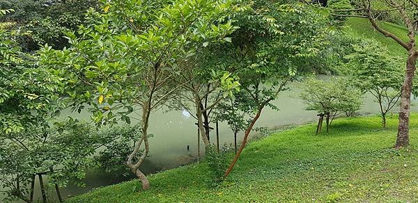 20220412_121908.jpg