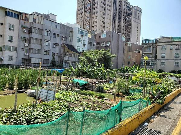 竹光路建地翻一番.jpg