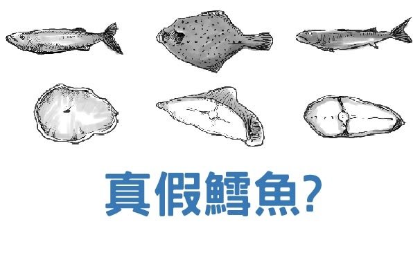 鱈魚正名