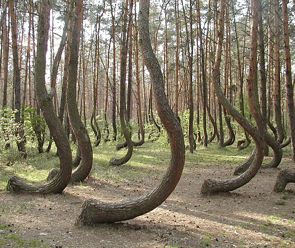 845