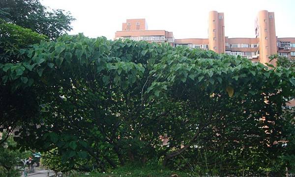 DSC05217