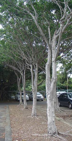 DSC06364