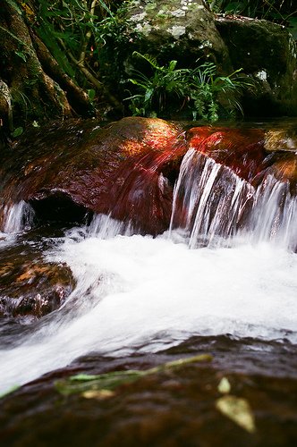 4865727453_81b547d2b6.jpg