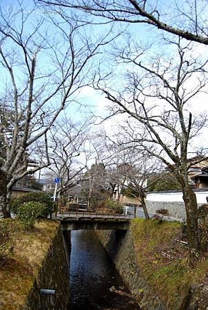 40_Japan011.jpg
