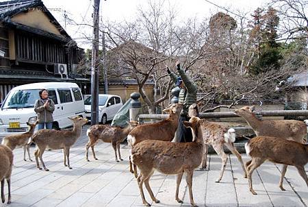 24_Japan011