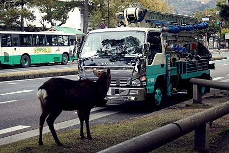 42_Japan008