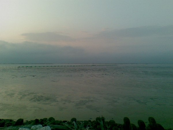 20100214(003).jpg