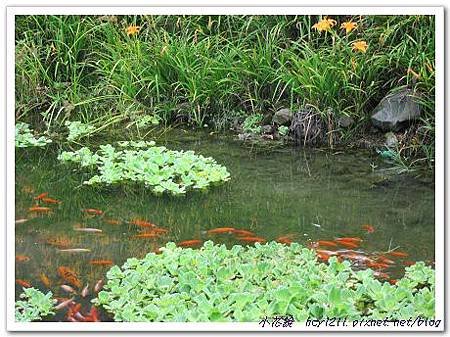 IMG_0157_nEO_IMG.jpg
