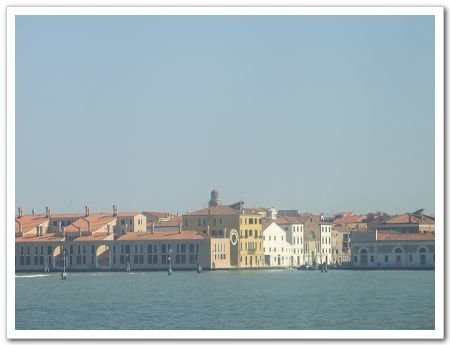 IMG_3136_nEO_IMG.jpg