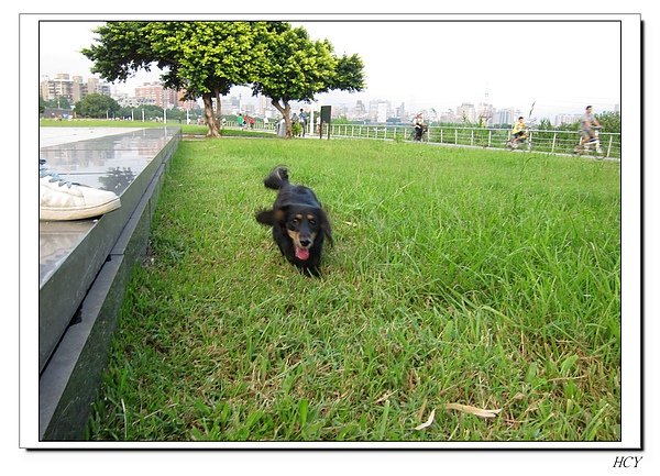 nEO_IMG_IMG_0087.jpg