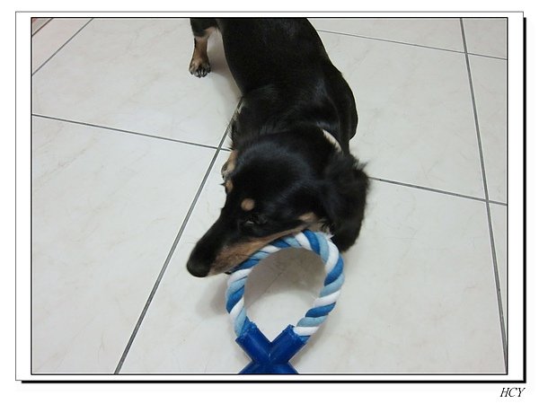 nEO_IMG_IMG_0096.jpg